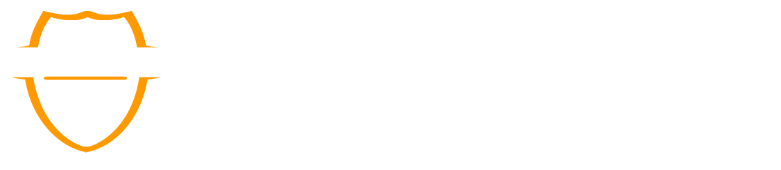 Mabuzitha Security Services